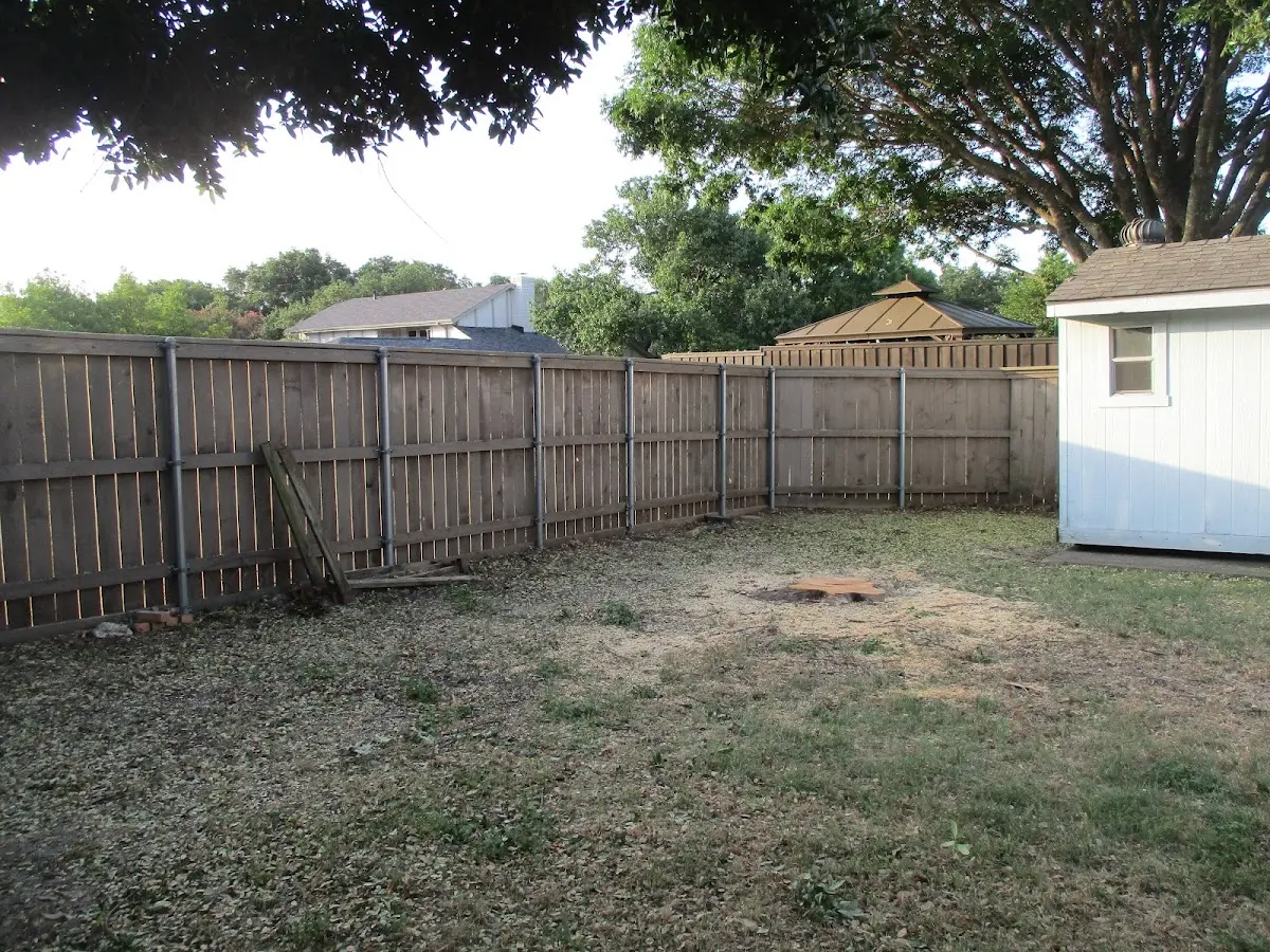 Cleared yard after professional tree removal in Honey Grove